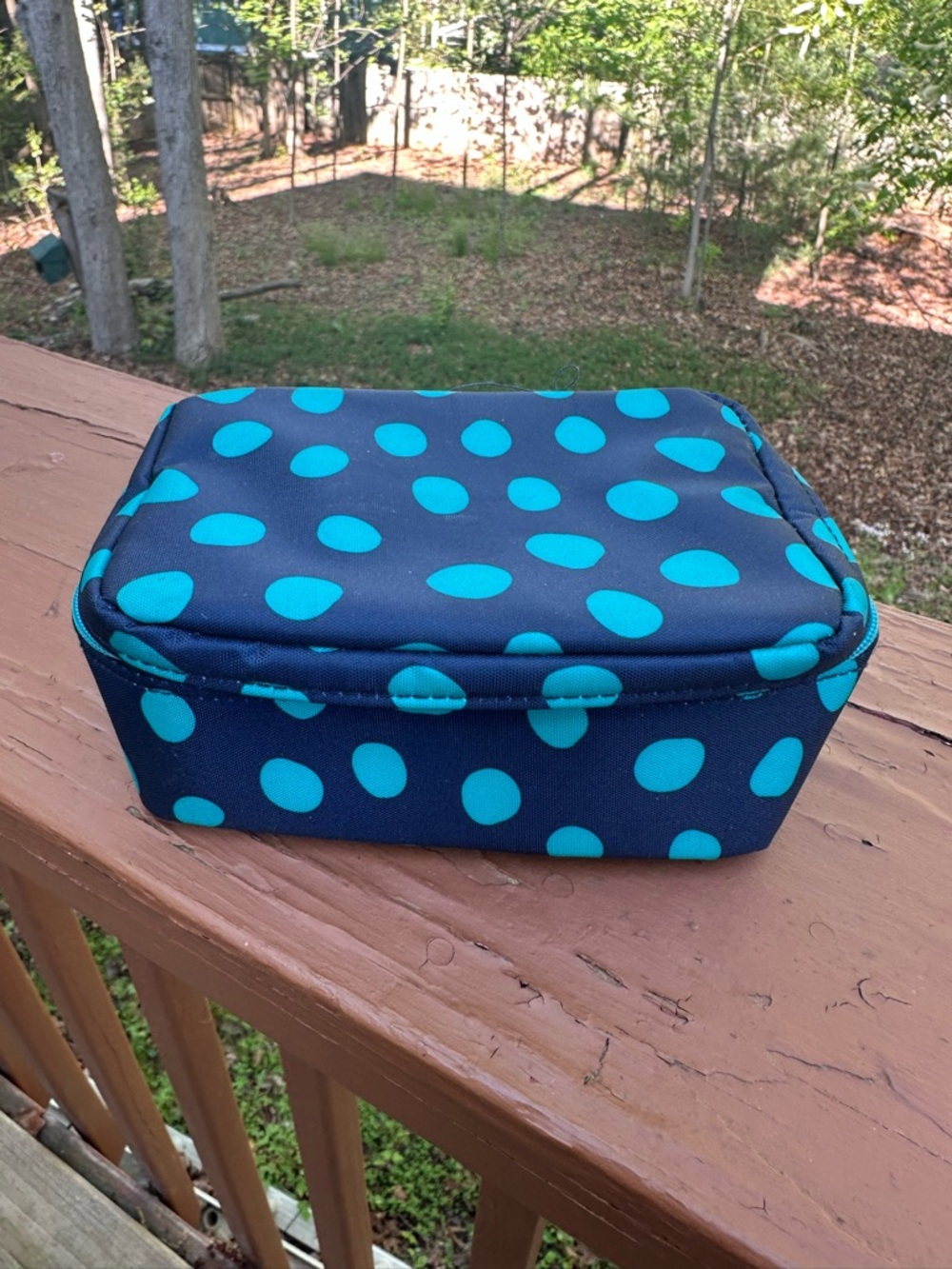 Thirty one polka dot travel accessories bag